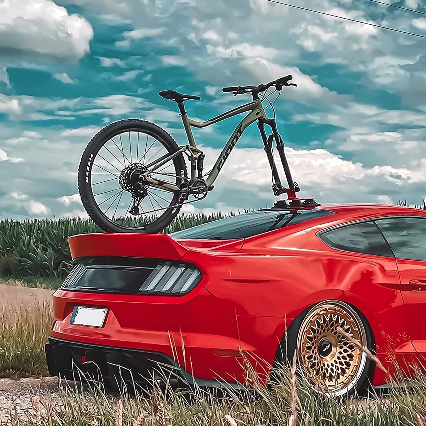ROCKBROS XP100 Porte-vélos pour 1-3 vélos Rouge 1x Vélo
