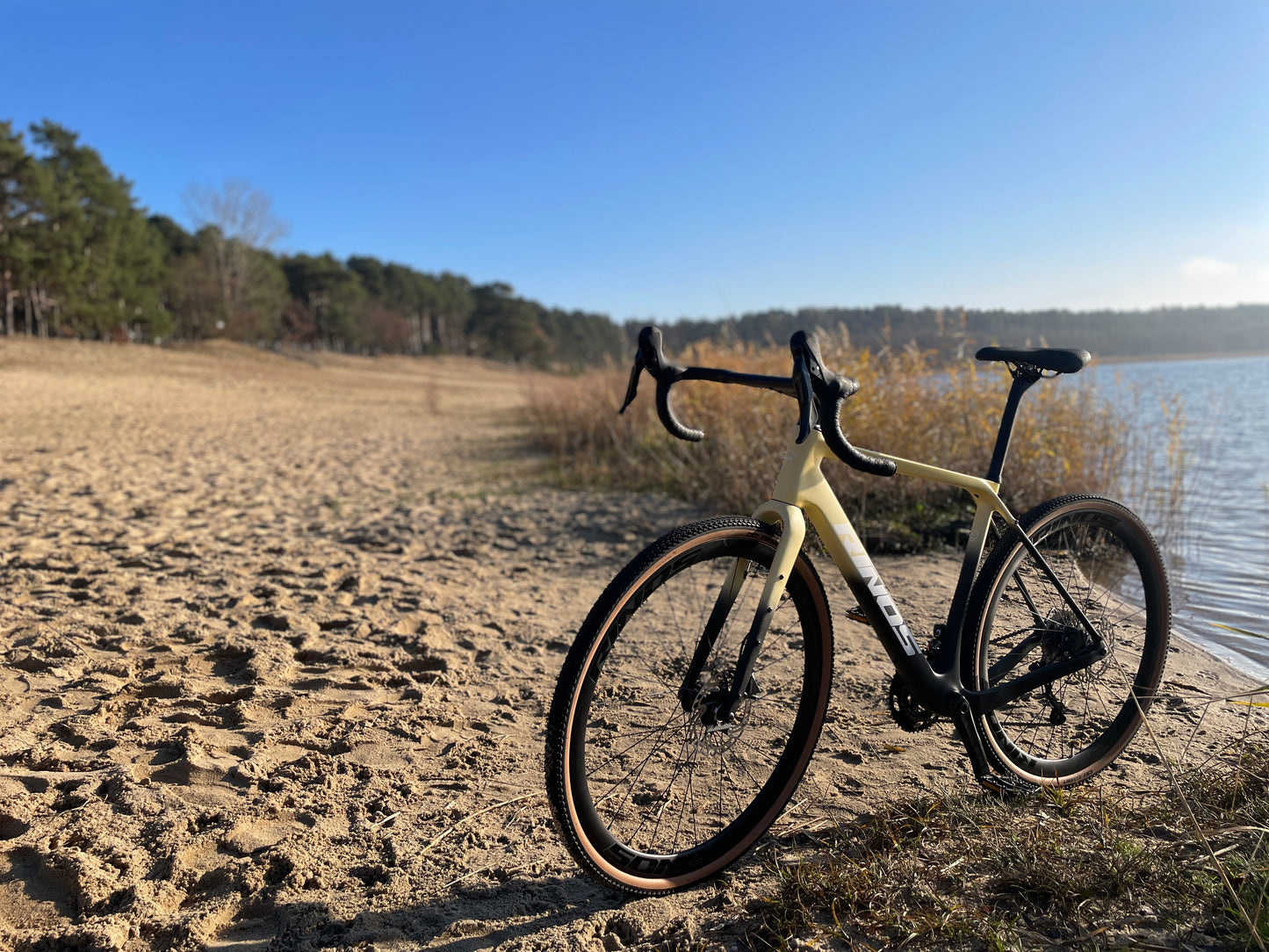RINOS Vélo de gravel en carbone Sandman6.0 Shimano GRX600
