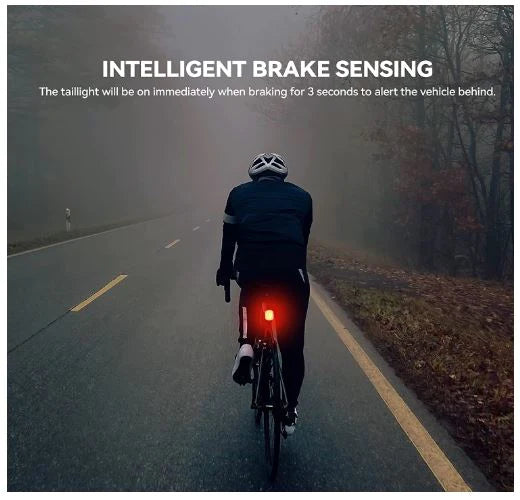 ROCKBROS Feu arrière de vélo LED étanche IPX6 USB Rechargeable Lumière rouge vive avec 5 modes fixes et clignotants
