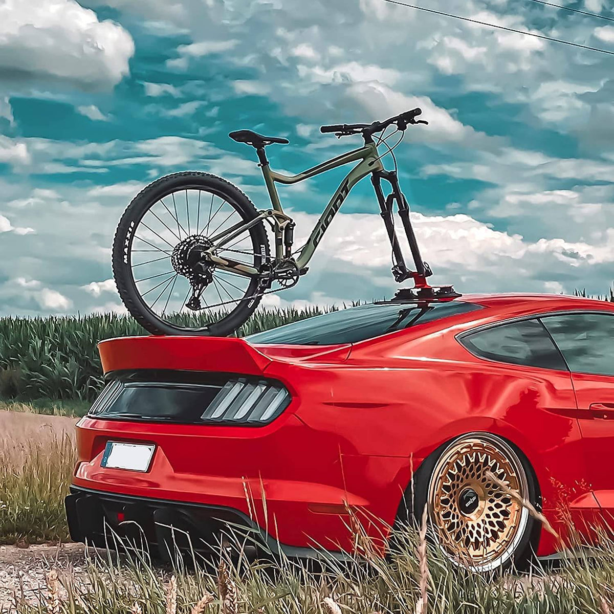 ROCKBROS Porte-vélo de vélo Porte-vélo de toit avec ventouses Montage rapide